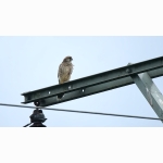 20230729 TF DSC01328.jpg